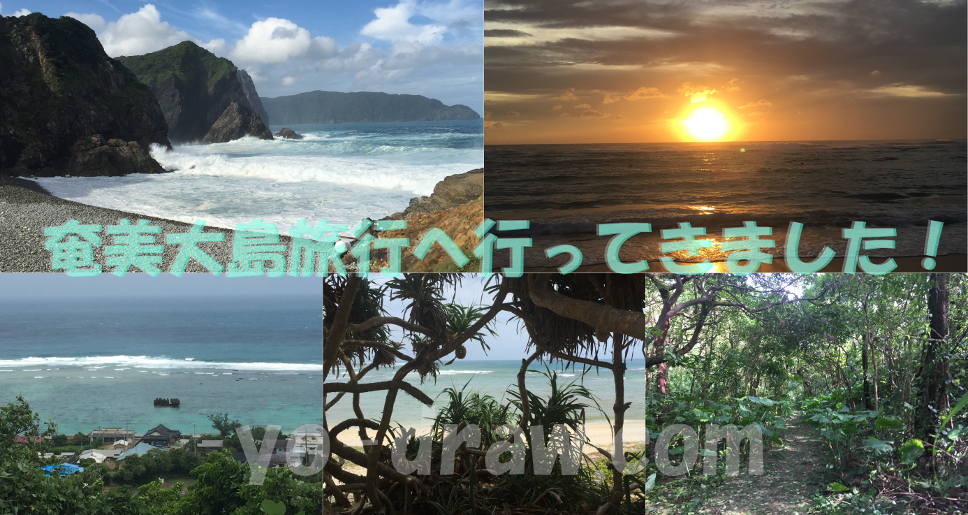 奄美大島旅行へ行ってきました 家族 カップルにおすすめの観光スポット Draw A Life 趣味ブログ